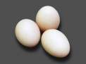 Huevos XL  de gallina camperas   6u