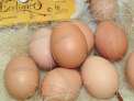 Huevos ecolÃ³gicos medianos ,6u